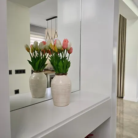 Beys Serenity - C 凯梅尔